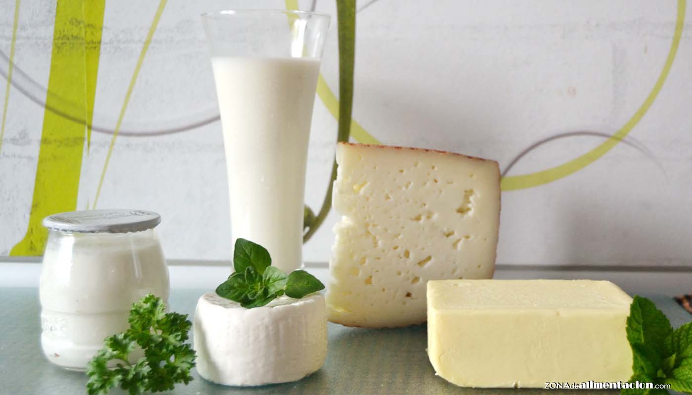 La leche y los lácteos, sus usos de la cocina dulce a la salada - ingredientes grasos