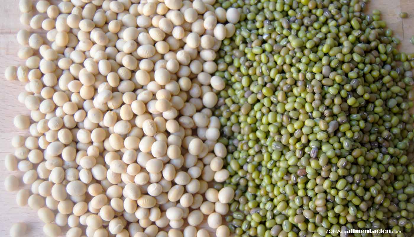  Soja, la legumbre con más proteínas - legumbres